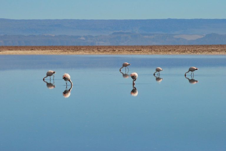 How Do Multi-Country South America Tours Work in Argentina?