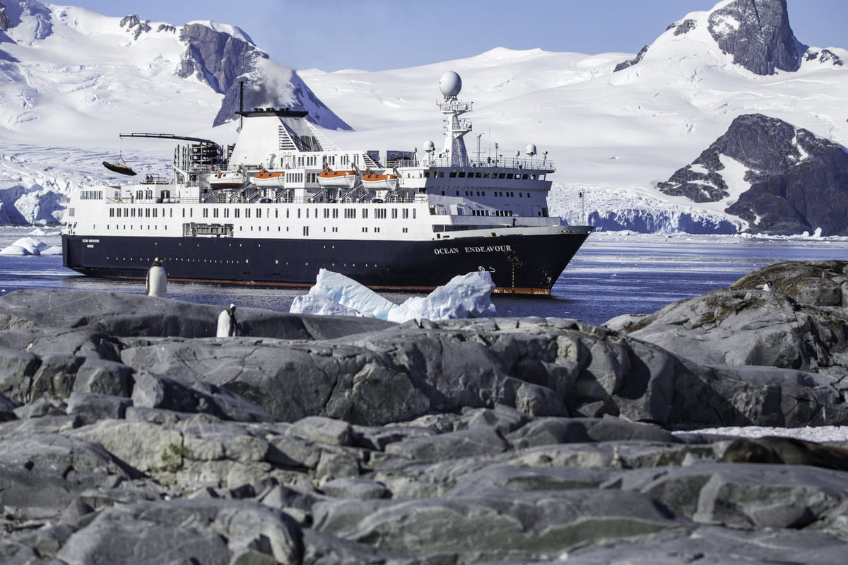 Sailing Through the Icy Wonderland: Antarctica Cruises from Argentina.