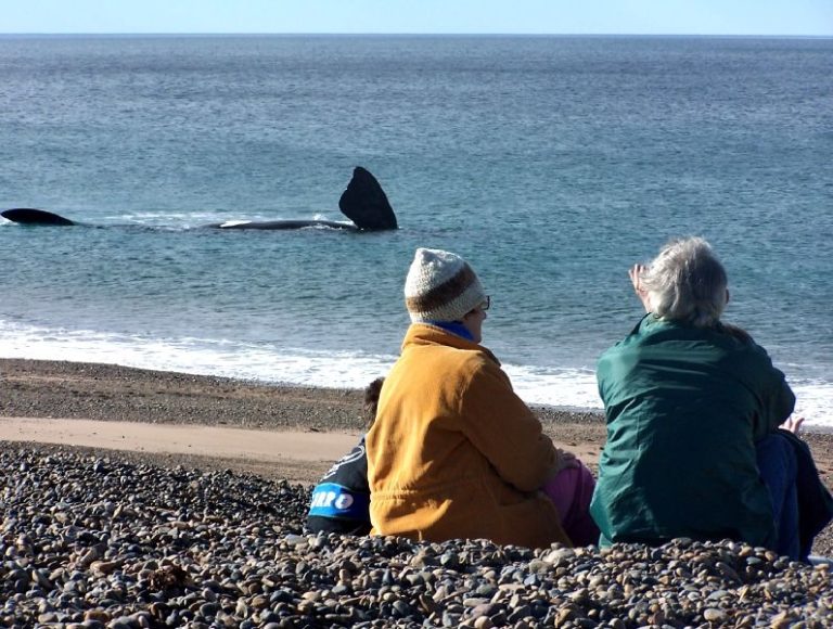 Was man in Puerto Madryn, Argentinien, unternehmen kann