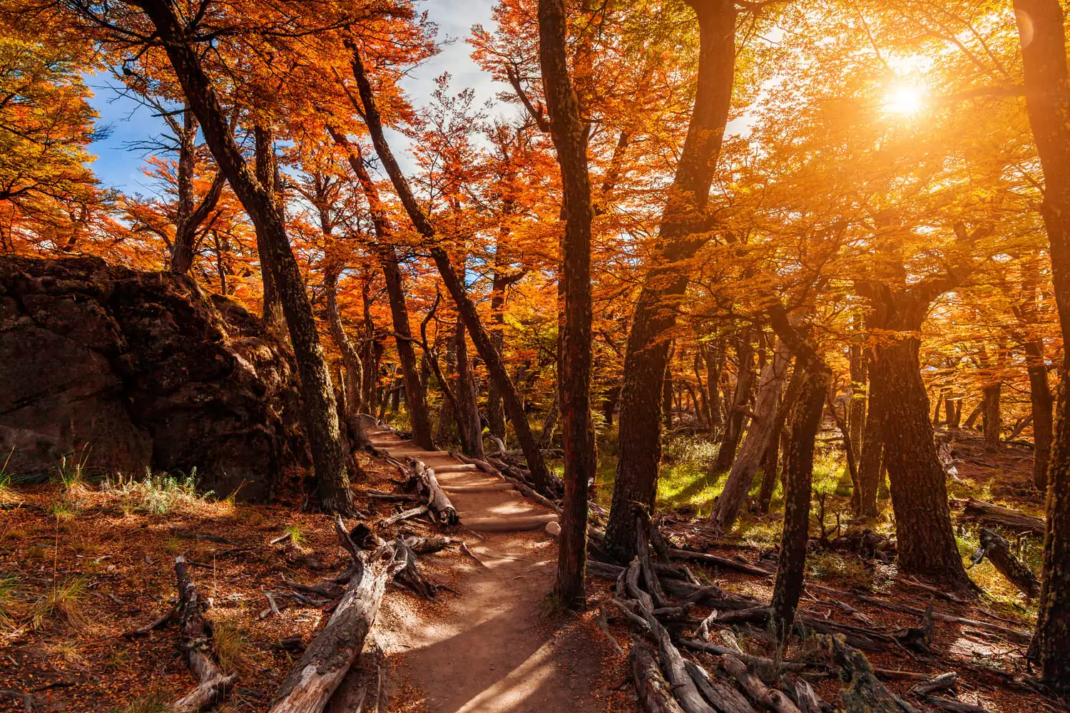 7 Best Places to Visit in Fall in Argentina