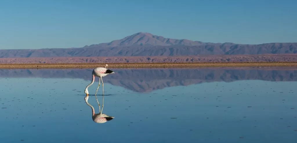 atcama-desert-chile
