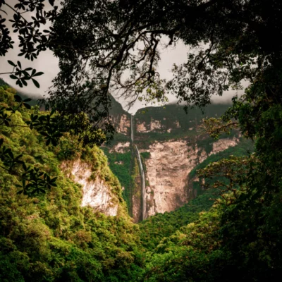 amazonas-jungle-peru