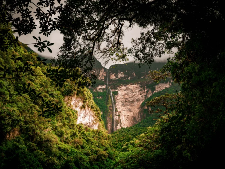 amazonas-jungle-peru