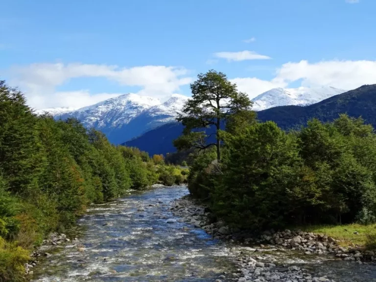 carretera-austral-1024x768-2 Carretera Austral amazing landscape, river, mountain and trees!