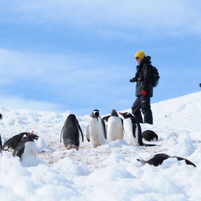 Travel to Antarctica: Tips for Planning Your Trip