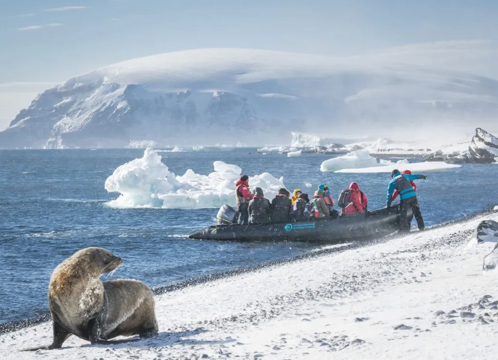 Passenger on a zodiac boat spoting a seal on the white beach.