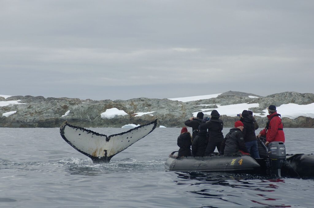 best tours to antarctica