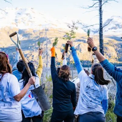 planting-trees-in-patagonia