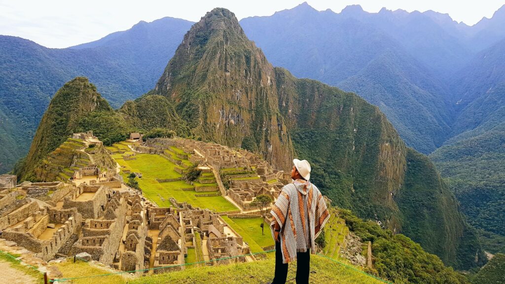 animals in peru