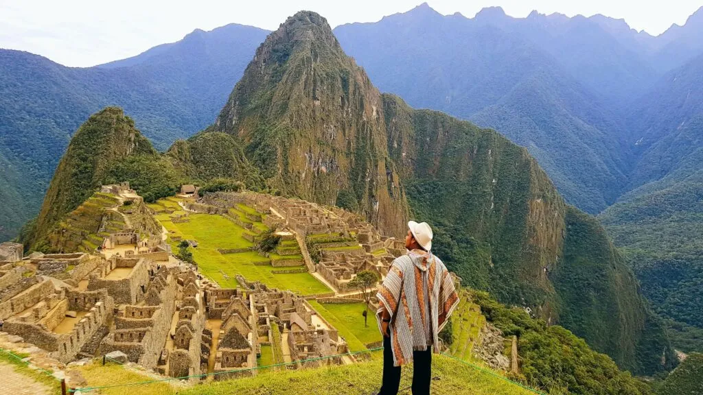animals in peru