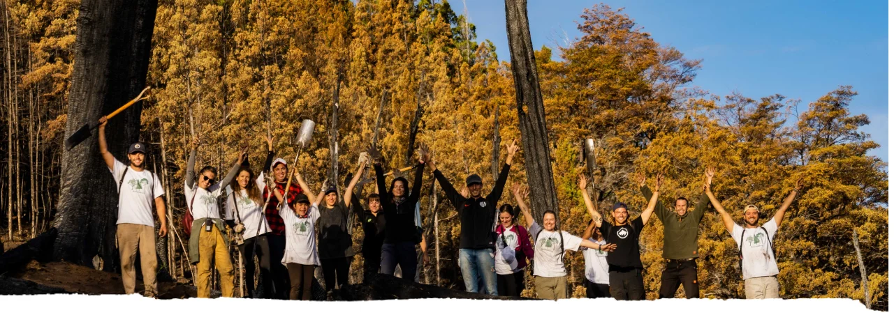 100.000 Trees Project