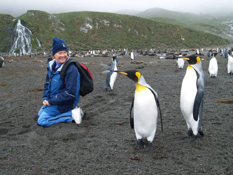 Best Places to See Penguins in Patagonia