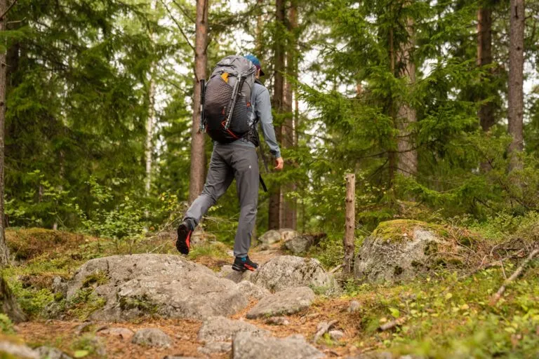 Hiking in the Chilean Patagonian woods