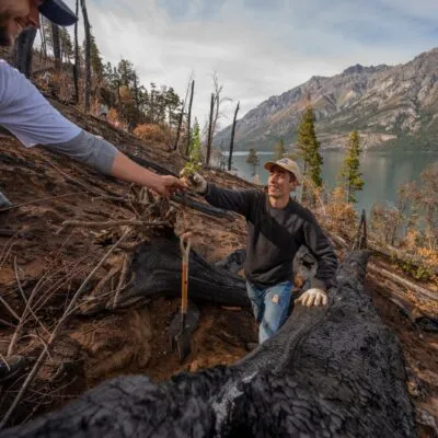 Say Hueque's reforesting team working in Cholila, Argentine Patagonia