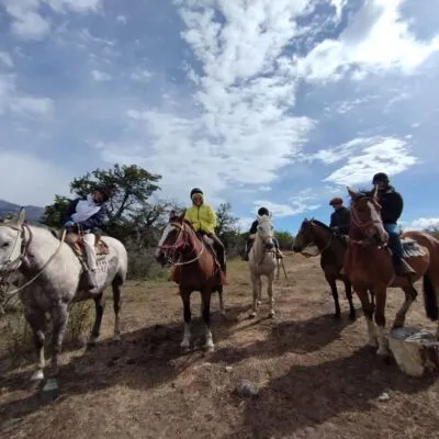 A group of tourist horseriding in pristine camps