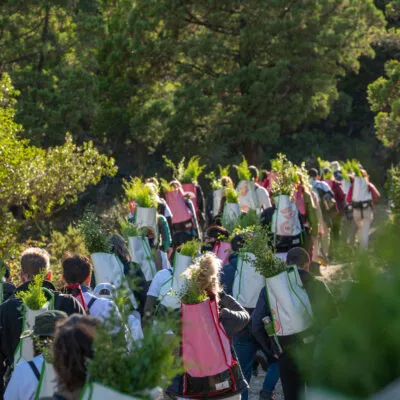 Reforestarg team walking in the forrest with trees on their backpacks