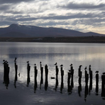 Sunset view of puerto natales