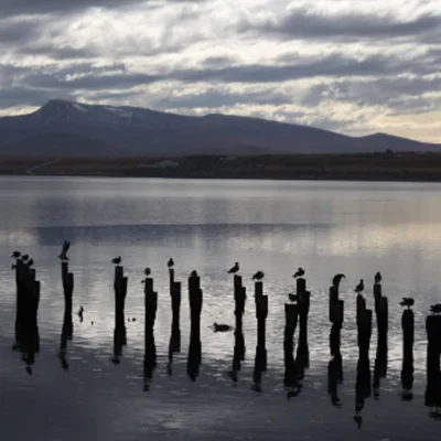 Sunset view of puerto natales 