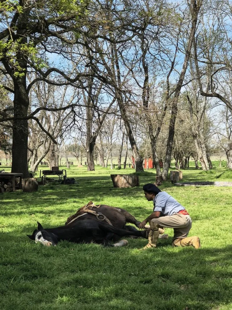 Cowboy Culture in Argentina