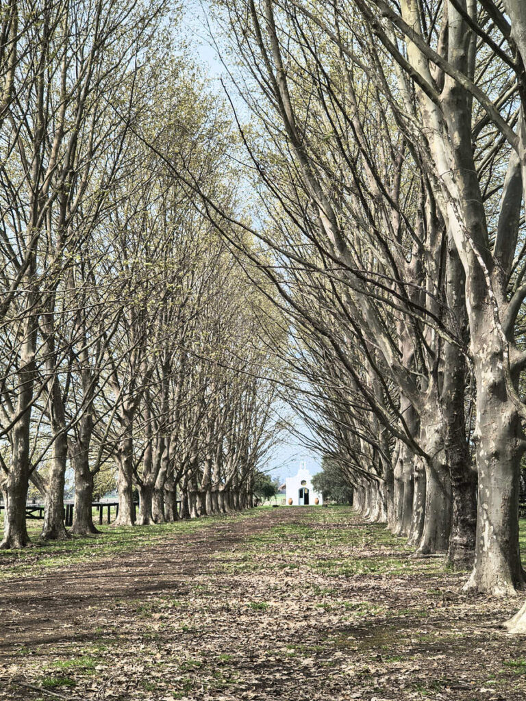 Cowboy Culture in Argentina