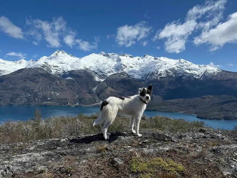 chilean-patagonia-carretera-austral-aysen- trekking-mallin- colorado