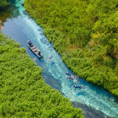 scubadiving in the amazon