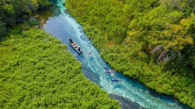 scubadiving in the amazon