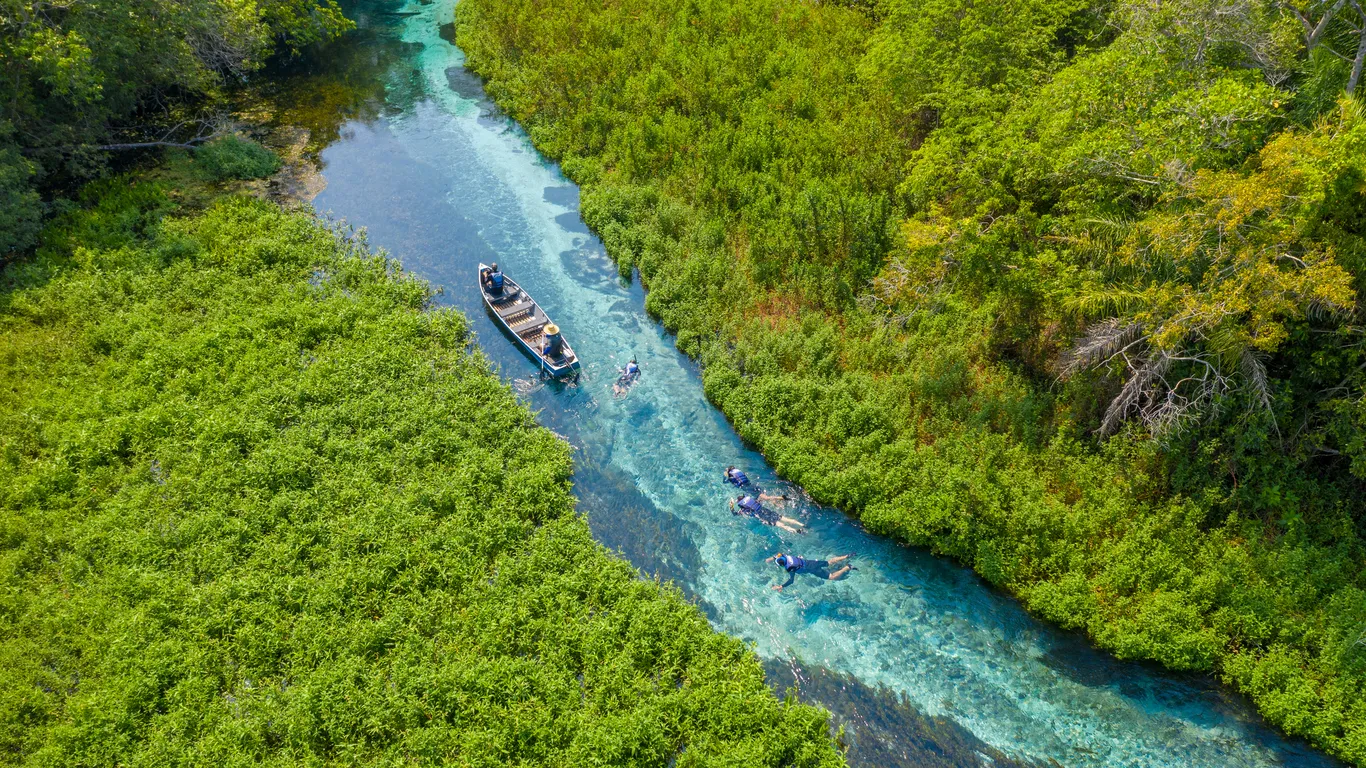 Wildlife & Natural Wonders of Brazil