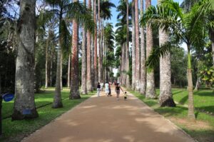 Jardín Botánico y Bosque de Tijuca en Jeep