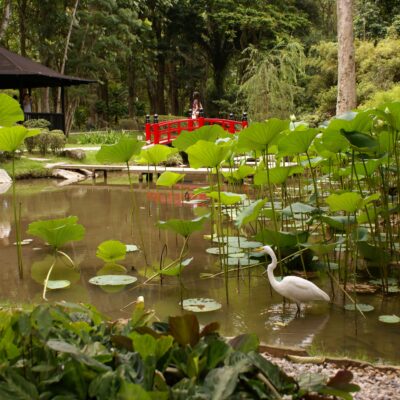 Botanical Garden & Tijuca Forest by Jeep