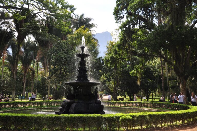 botanic garden in rio de janeiro