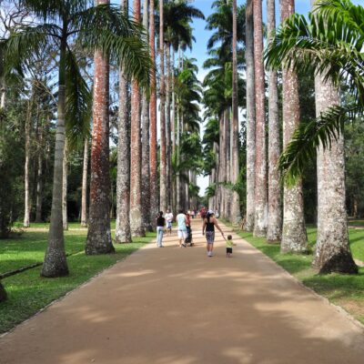 Botanical Garden & Tijuca Forest by Jeep