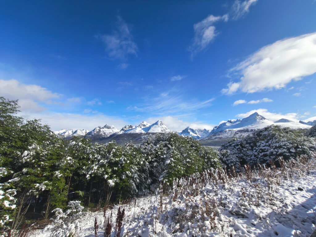 FD Isla Gable - Camino a Pto Almanza Mirador (1) when to book a trip to Patagonia