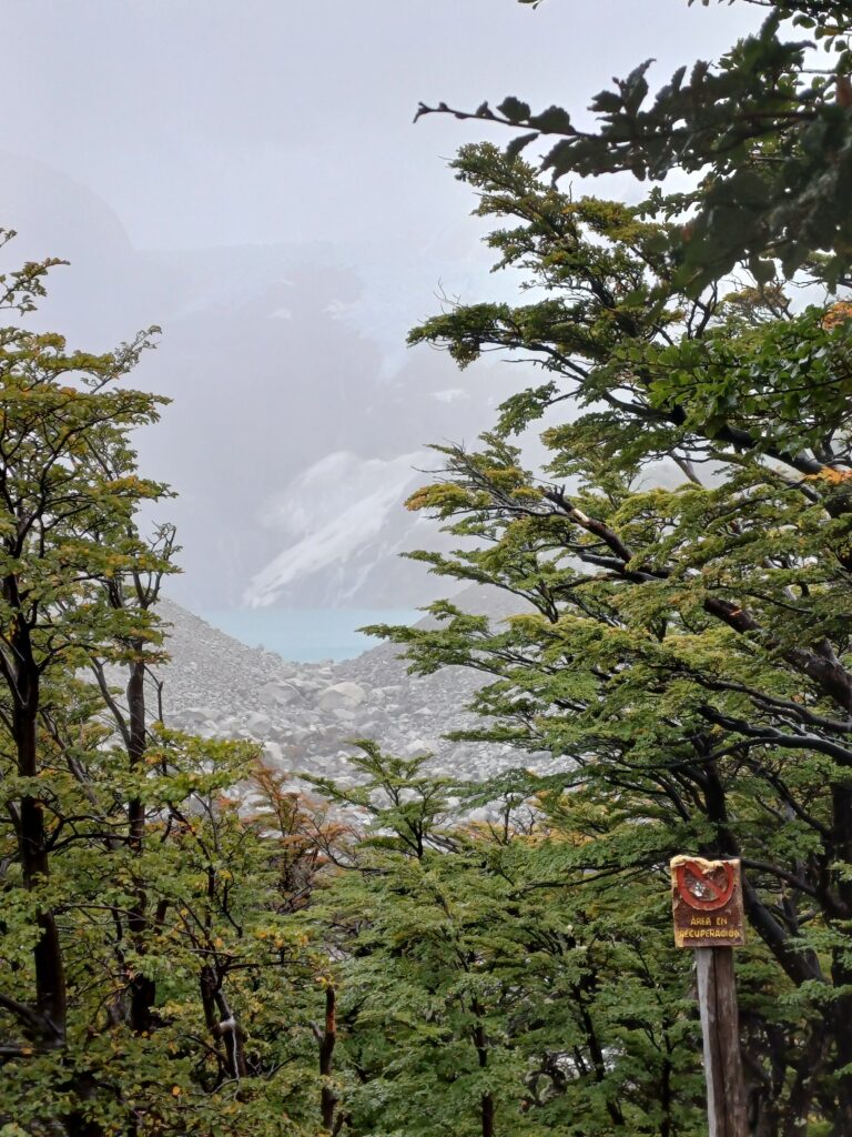 best-patagonia-hiking-tours-spectacular-scenery-el-chalten-fitz-roy-valley-say-hueque-journeys-2 Piedras Blancas Glacier in el Chaltén, Patagonia, Argentina.