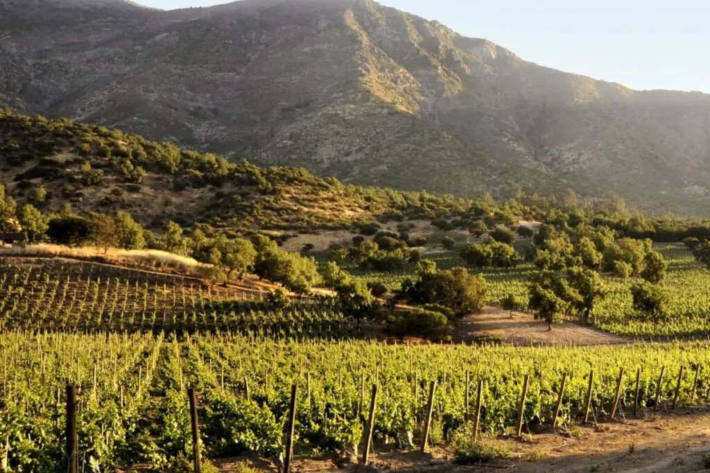 Mendoza wine tours