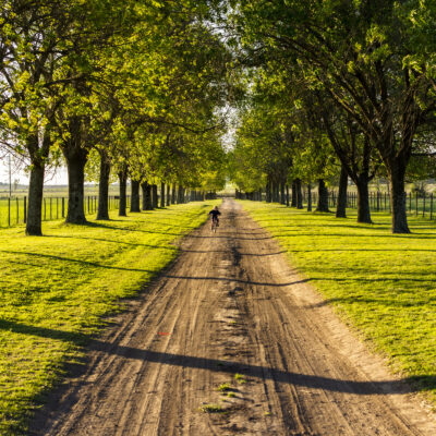 estancia-el-ombu-road