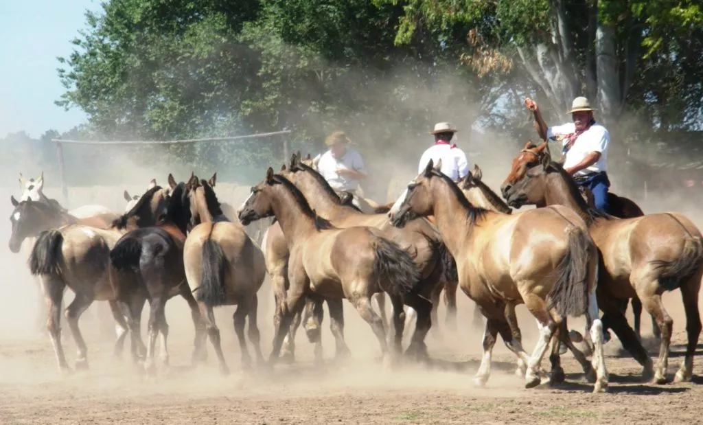 south american festivals