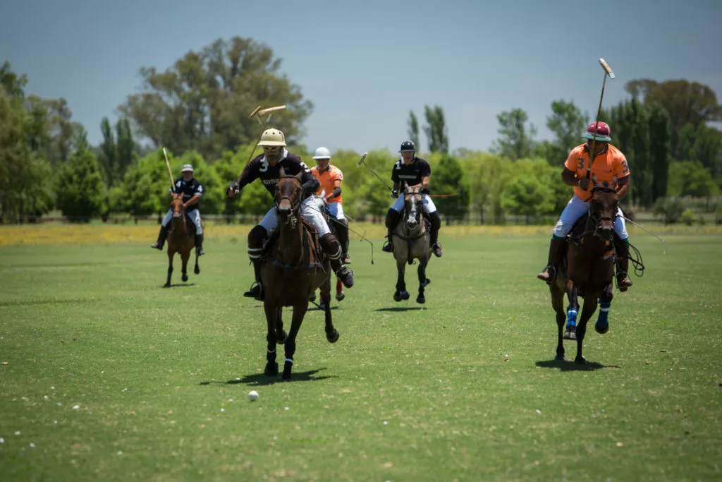 Buenos Aires - Polo
