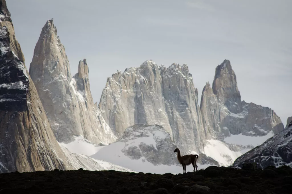 Torres del Paine National Park