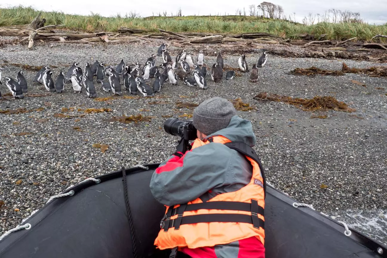 Patagonia Cruise Australis, man and penguins