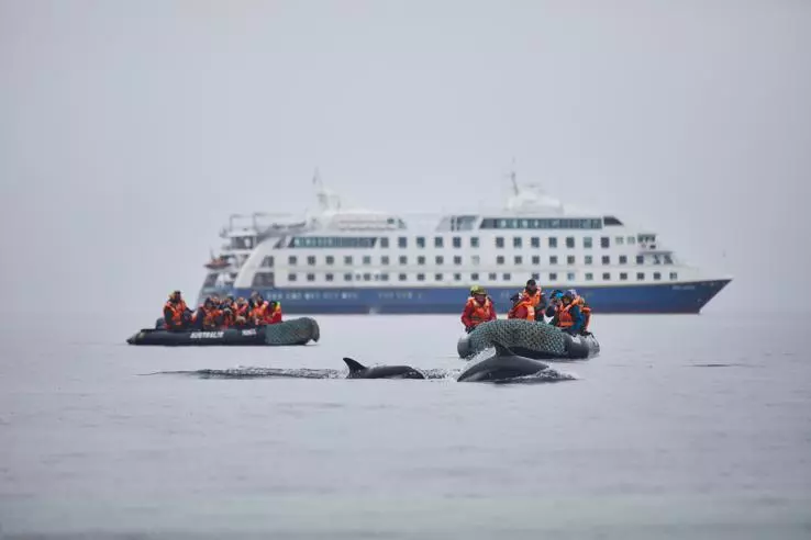 Australis Cruise - Patagonia