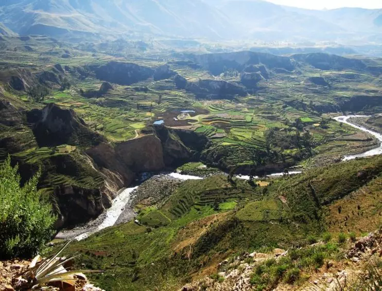 Cañón del Colca - Arequipa - Peru