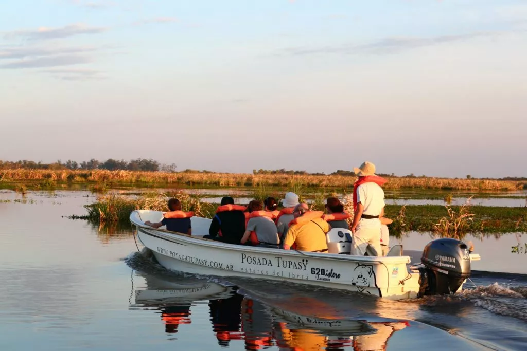 Ibera wetlands and its wildlife