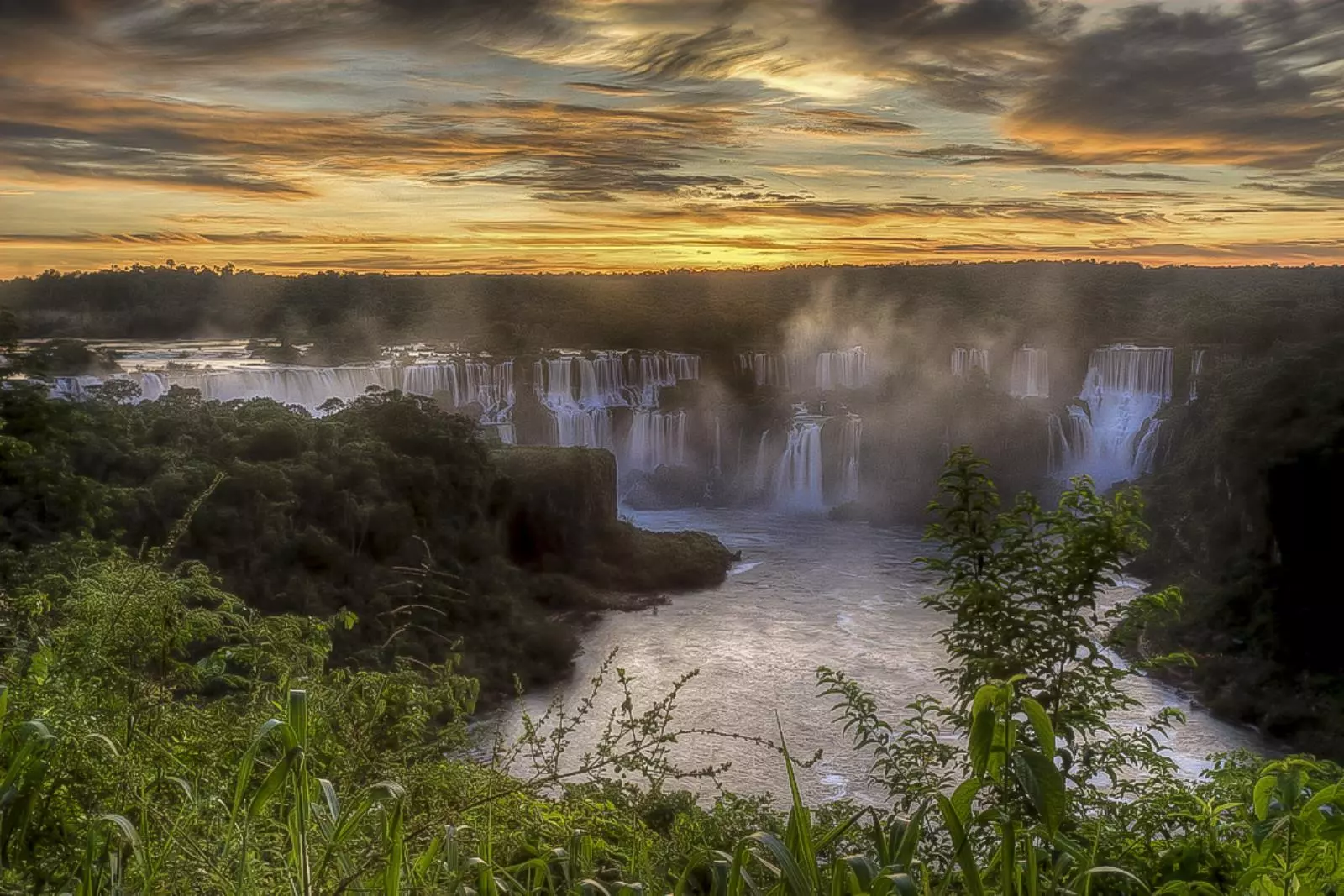 Iguazu Falls Full Jungle Experience