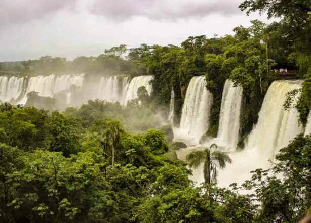 Iguazu-Falls-Nature-and-Wildlife