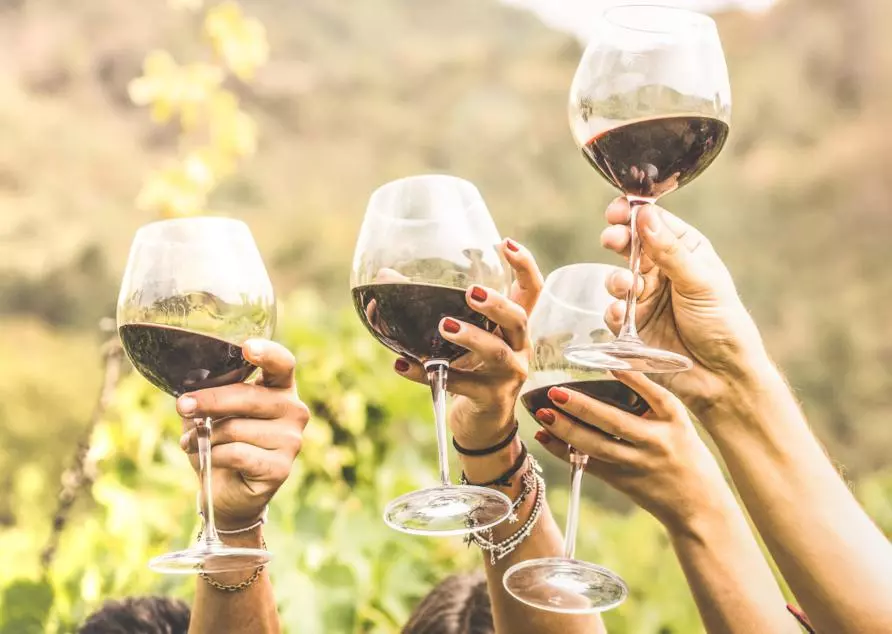 Mendoza - Wine tour