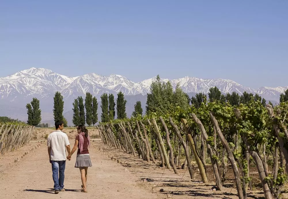 Mendoza - Wine tour