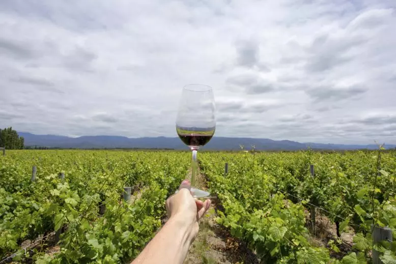 Mendoza - Wine