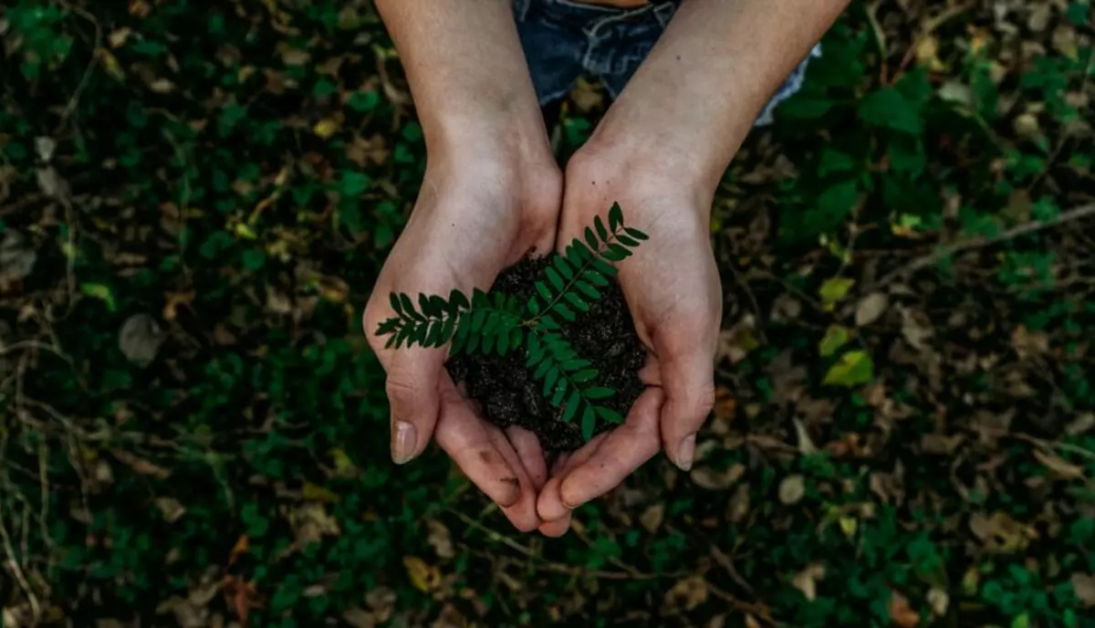 5 Ways to Respect the Environment While Traveling