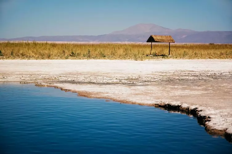 cejar-lagoon-atacama-chile cejar-lagoon-atacama-chile